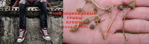 наркотики Зеленокумск