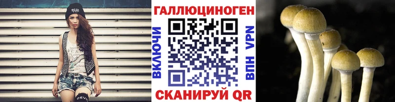 Псилоцибиновые грибы Cubensis  Купить закладки  Ершов 