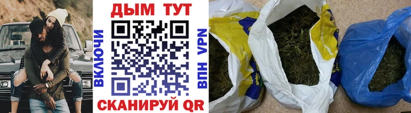 Купить где  Ершов  Бошки марихуана OG Kush 